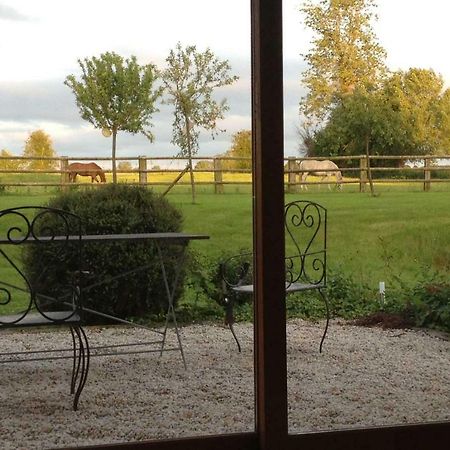 Haras Des Leudets Bed and Breakfast Blangy-le-Château Buitenkant foto